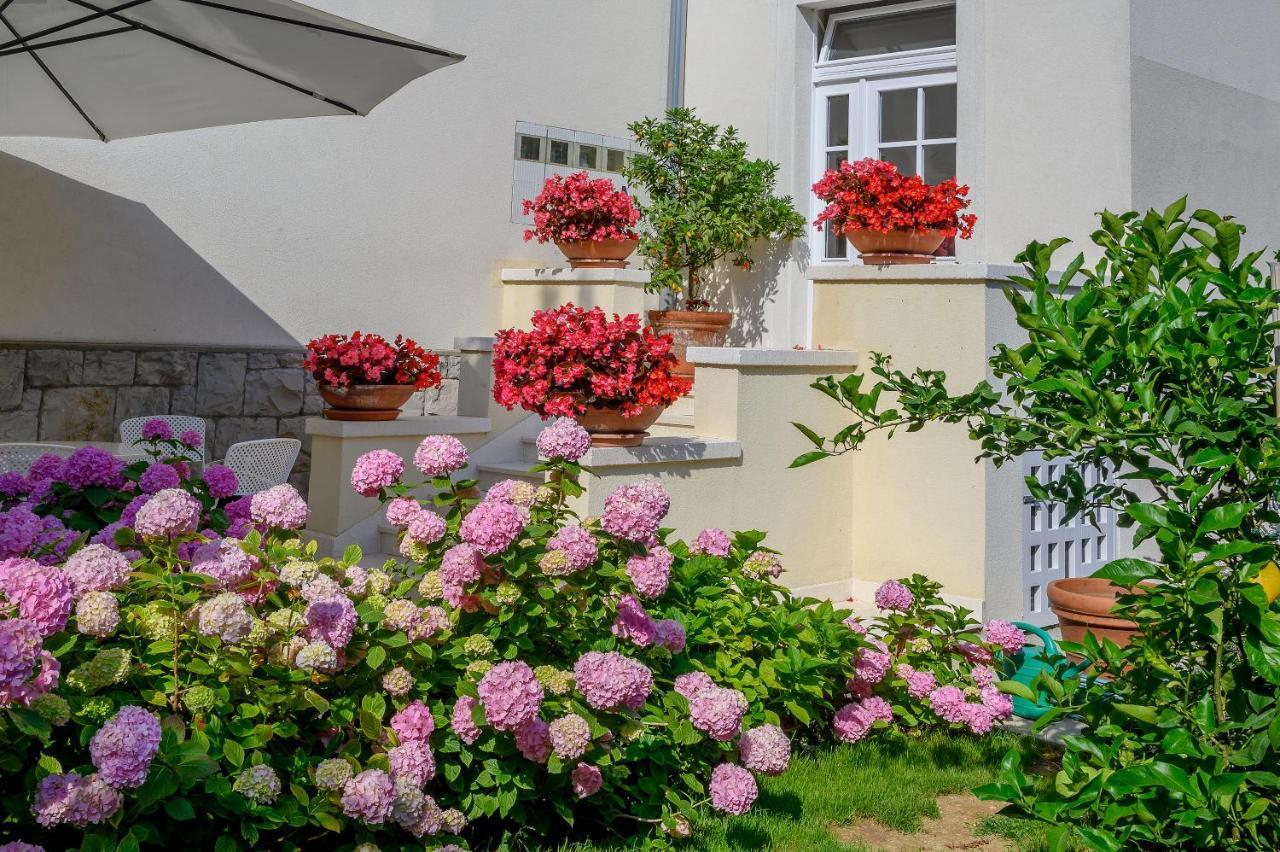 Palace Schoen Milesi - Esense Of Prestige - Private Pool - Free Parking - Old Money Style Luxury Rooms - Walking Distance To The Old Town, The Beach And All Amenities - Buralux Properties Split Eksteriør billede